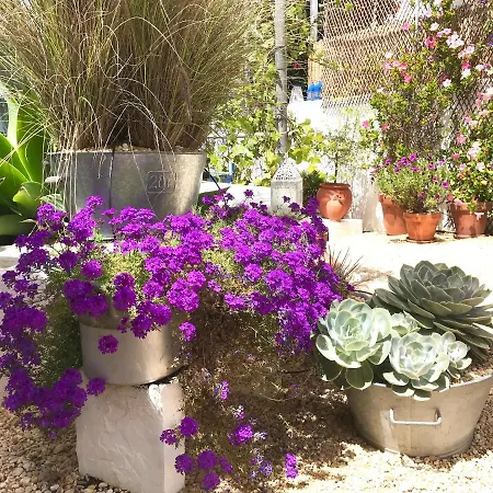 Casa Da Aldeia Feriehus Santa Bárbara de Nexe