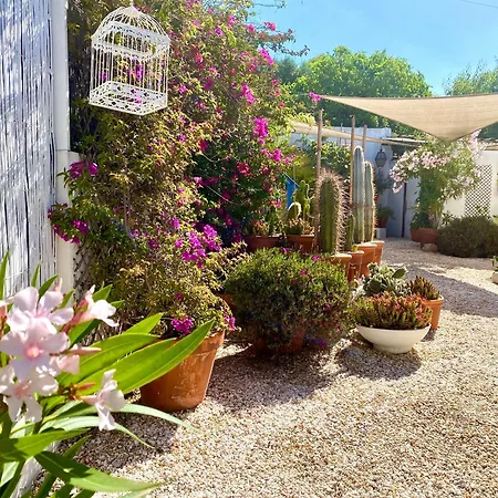 Hébergement de vacances Casa Da Aldeia