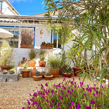 펜션 Casa Da Aldeia Santa Bárbara de Nexe